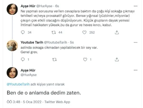 Ayşe Hür'den skandal çağrı! Halkı sokağa davet etti! Hedefinde Başkan Erdoğan var - 4