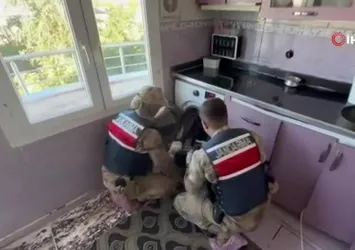 Şanlıurfa'da çamaşır makinesinden 12 tabanca çıktı