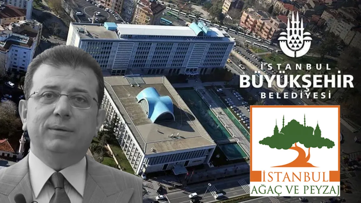 Ağaç A.Ş.'deki rüşvet ve haraç çarkı deşifre! İtirafçı Tamer Gümüş her şeyi tek tek anlattı: "30 bin euro rüşvet aldılar"