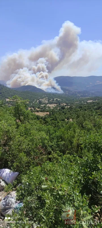 Balıkesir Kepsut'ta orman yangını! Havadan ve karadan müdahale ediliyor 7