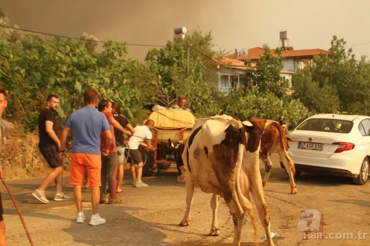 Vatandaşlar canlarını zor kurtardı! Antalya’daki yangın bir mahalleye daha sıçradı