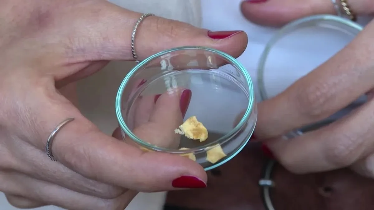 Balık kılçığı yüksek kaliteli kolajene dönüştürüldü