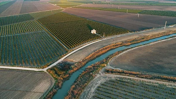 1694576726741.jpeg Atıl arazilerden 9.5 milyar gelir: Türkiye'de et, süt sorununu çözeceğiz | Tarım ve Orman Bakanı İbrahim Yumaklı'dan çarpıcı açıklamalar - 5
