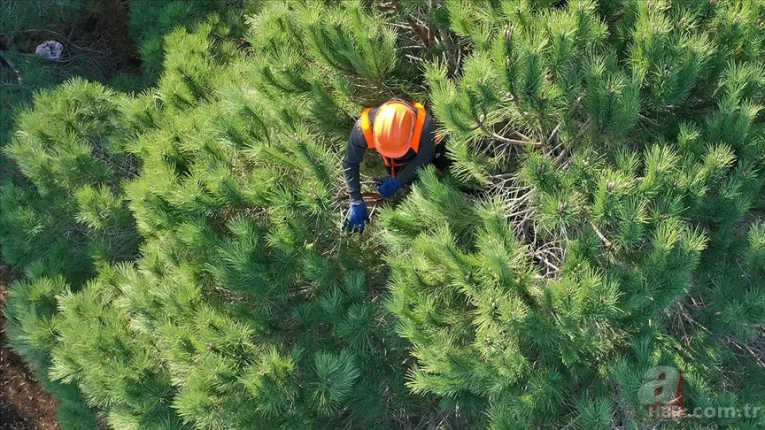 OGM personel alımı başvuruları bitti mi? OGM 496 işçi alımı sonuç tarihi 3