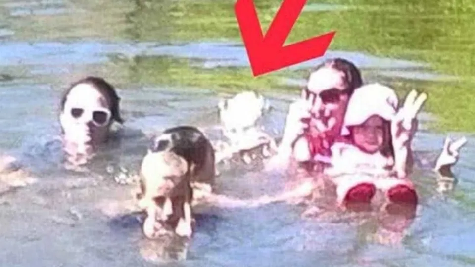 Denizde verdikleri poza bakınca şoke oldular! Bilim insanları açıklayamadı