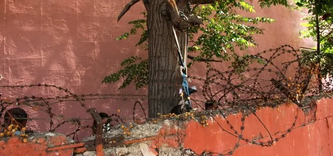 Adana’da ikokul bahçesinde dehşet! 4 gündür haber alınamayan genç ağaçta asılı olarak bulundu