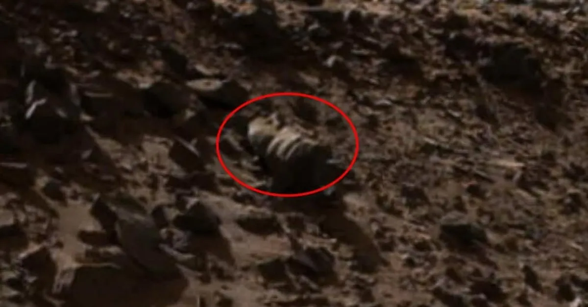 nasa o goruntuleri paylasti bilim