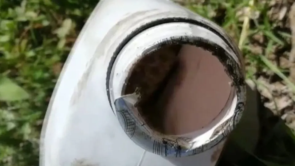 Yılan paniği! Müdahale şaşırttı |Video