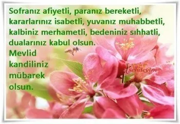 Mevlid Kandili mesaları | Mevlid Kandili sözleri ! 2018 Resimli Mevlid Kandili mesajları