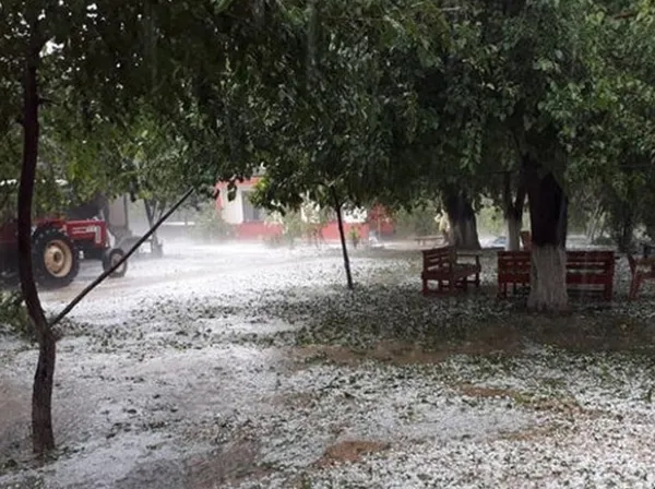 Adana'da şiddetli dolu yağışı, çifçiyi vurdu - 1