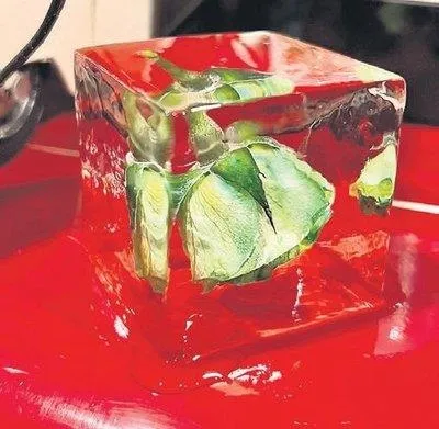 Bodrum beach’lerinde yeni trend: 1000 TL’ye panda menüsü!