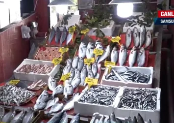 Son dakika: Hamsi Karadeniz'e geri döndü! Hamsinin fiyatı tezgahta ne kadar?