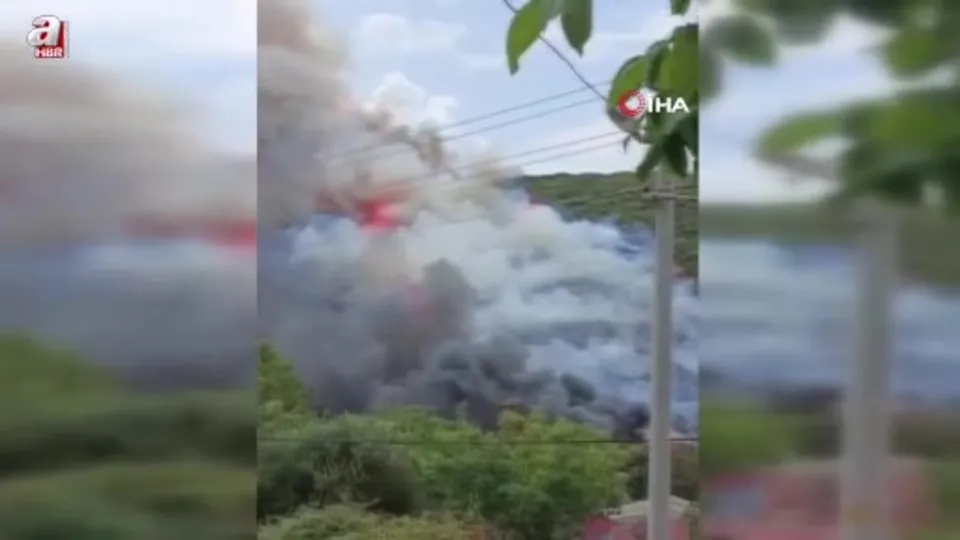 Kocaeli’de ağaçlık alanda yangın