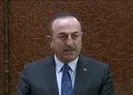 Bakan Çavuşoğlu: Rejimi kontrol edemiyoruz bahanesini kabul etmiyoruz
