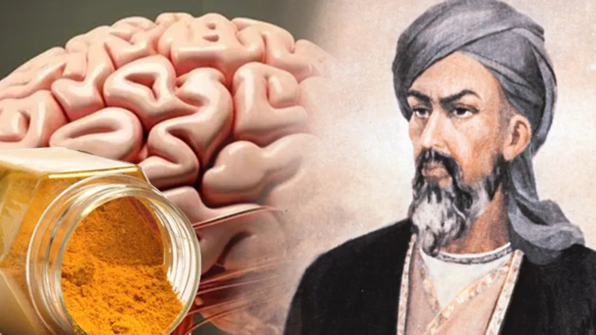 İbn-i Sina 1000 yıl önce önerdi! 1 tutamı hafızayı çelik gibi güçlendiriyor! İşte o reçete...