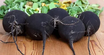 Öksürük ve bronşit için neler tüketilmeli?