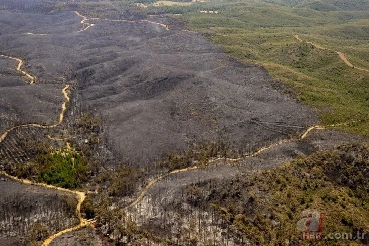 Marmaris’teki orman yangını kontrol altında: Soğutma çalışmaları sürüyor! 4 bin 500 hektar kül oldu