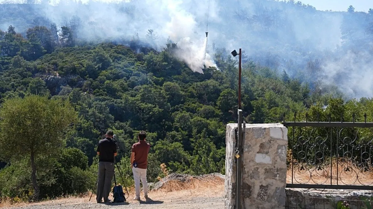 Yanan ormanlık alanlar yeniden yeşillendirilmek için hazırlanıyor!