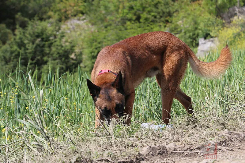 Ecrin son dakika katili kim? Ecrin bebek son durum Müge Anlı Ecrin'in katili bulundu mu, kim öldürdü? 16