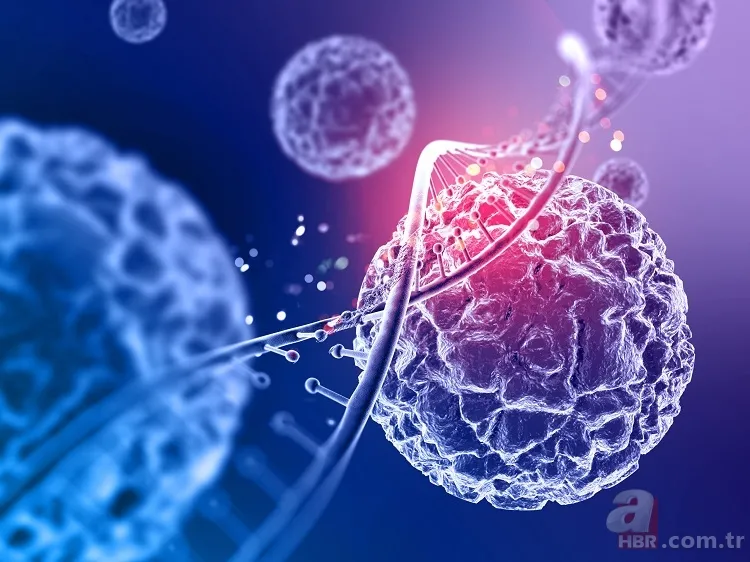 Kanser hastalarına umut olacak aşı! Sadece 7 dakikada hastalara uygulanıyor ve tedavi süresini yüzde 75 kısaltıyor 1