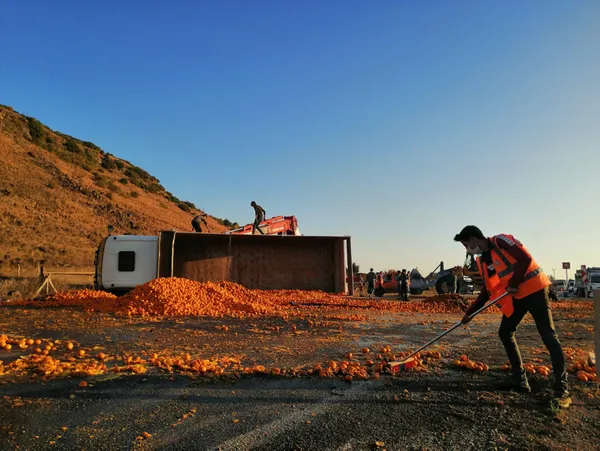 emeklere-yazik-oldu-15-ton-mandalina-yola-sacildi-1607293516989.jpg Emeklere yazık oldu: 15 ton mandalina yola saçıldı - 4