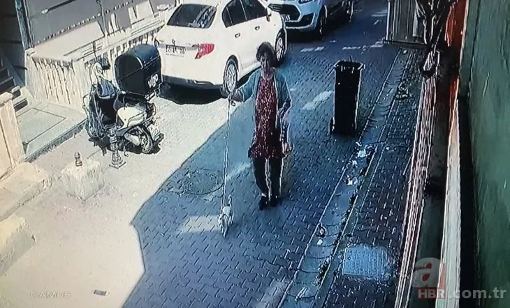 İstanbul’da kan donduran pitbull saldırısı! Köpeğini parka götüren kadına dehşeti yaşattı