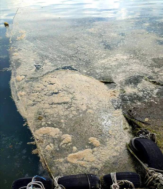 Son dakika: Deniz salyası kabusu yayılmaya devam ediyor: Karadeniz’e sıçradı