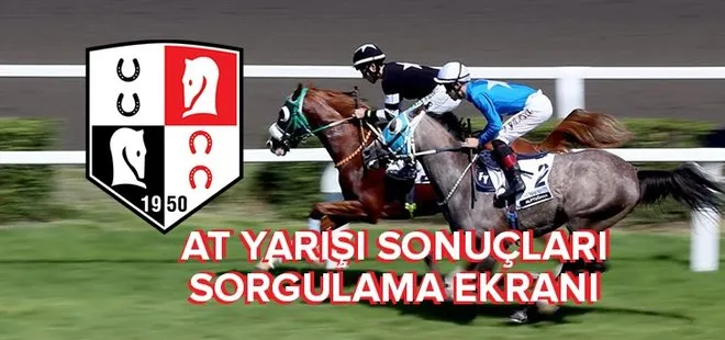 At yarışı sonuçları sorgulama 🏇 | Canlı TJK TV at yarışı sonuçları ve yarış programı | İstanbul, Bursa, İzmir, Kocaeli...