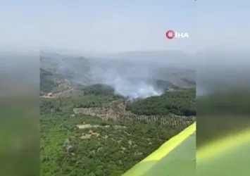 Aydın Germencik'te orman yangını