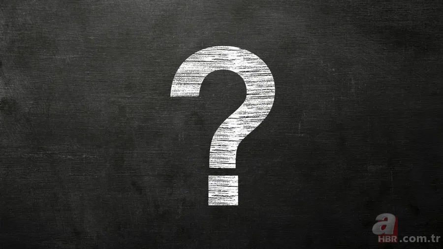 Vibe coding nedir, neden 2025’in en popüler kelimesi seçildi? Vibe coding terimi ne anlama geliyor! 4