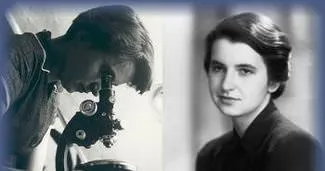 Google’dan Rosalind Franklin ’doodle’ı