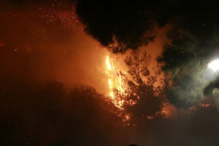 Adana Kozan'da orman yangını - 1