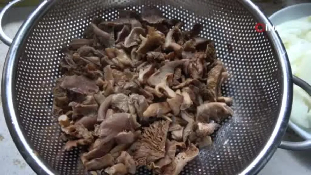 Ordu'nun eşsiz lezzeti Fındık Tirmidi Kavurması tescillendi