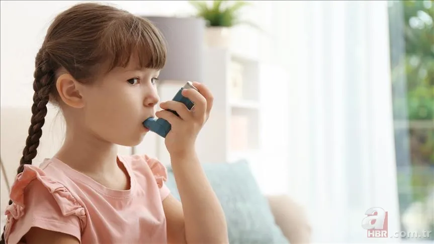 Meğer 1000 yıl önce yazmış! İbni-i Sina'nın şifa dağıtan tarifleri! Hastalıkları kökünden kazıyor! İşte o reçete 6