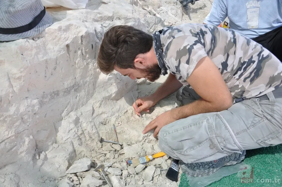 Kapadokya'da 9 milyon yıllık fosiller gün yüzüne çıkarılıyor 1