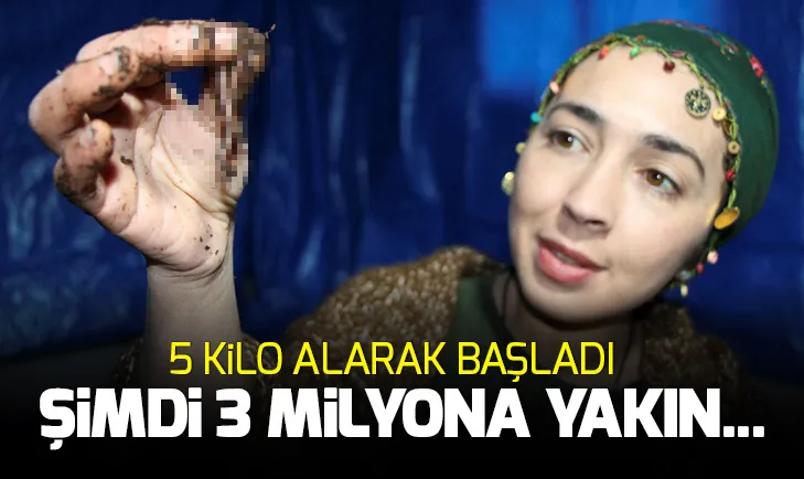 5 kilo solucan gübresi alarak başladı, şimdi 3 milyon...