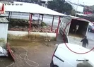 Fırçayla durdurmak istediği dana hastanelik etti