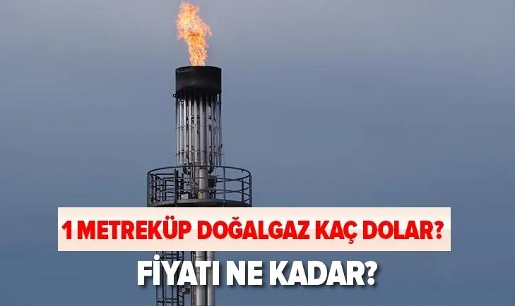 1 Metrekup Dogalgaz Kac Dolar 1 Metrekup Dogalgaz Fiyati Ne Kadar Kac Tl Dogalgaz Fiyati
