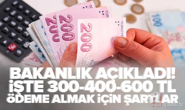 Başvuran aynı ay içerisinde PTT'den parasını çekebilecek! 300, 400, 600 TL hemen yatırılıyor! Aile Bakanlığı şartları duyurdu 1