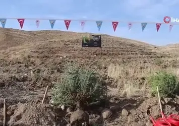 Erzurum'da 3 bin fidan toprakla buluştu