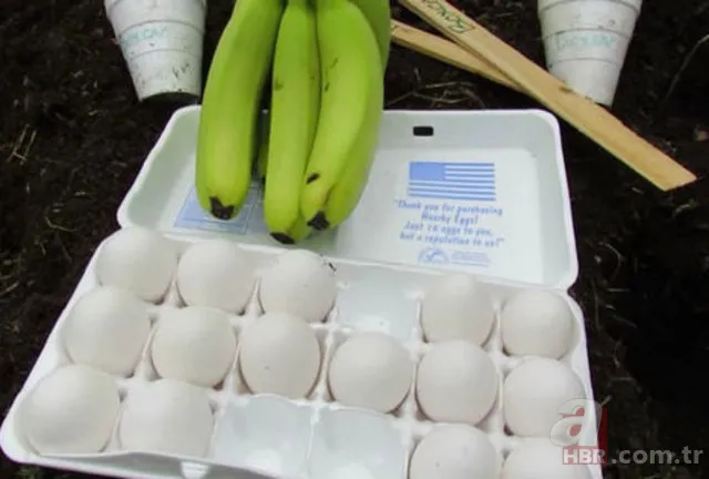 Kurban etinden Adana kebap tarifi! Ustası A Haber’e anlattı, işte o tarif 64