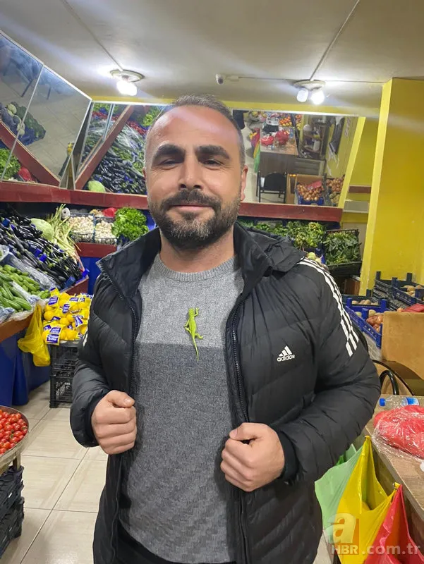 Mandalina almak için gitti hayatının şokunu yaşadı! Koliden çıkan hayrete düşürdü 2