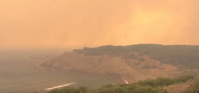 İspanya’nın Fransa sınırında orman yangını: 930 hektarlık alan küle döndü