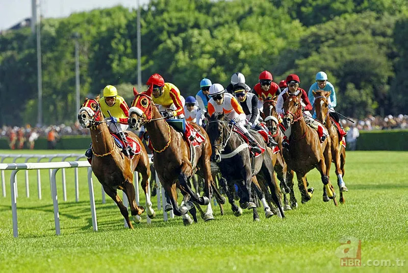 Gazi Koşusu ne zaman saat kaçta? 93. Gazi Koşusu hangi kanalda? 1