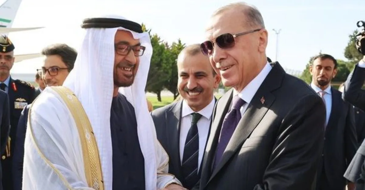 Başkan Erdoğan Zayed Al Nahyan'la görüştü