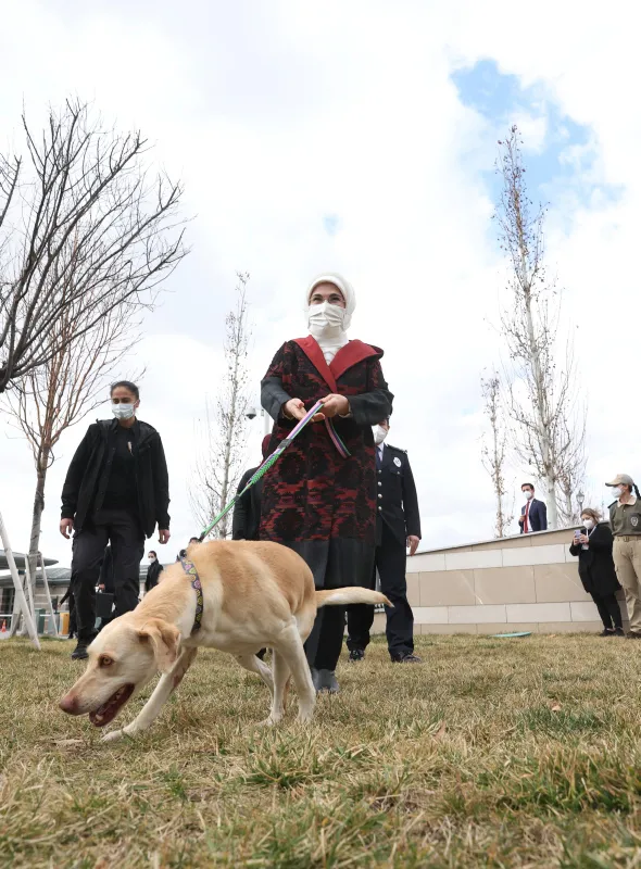 Emine Erdoğan başlatmıştı! Külliye'deki atıklar geri dönüştürülerek sokak hayvanlarına 'yuva' oldu - 1