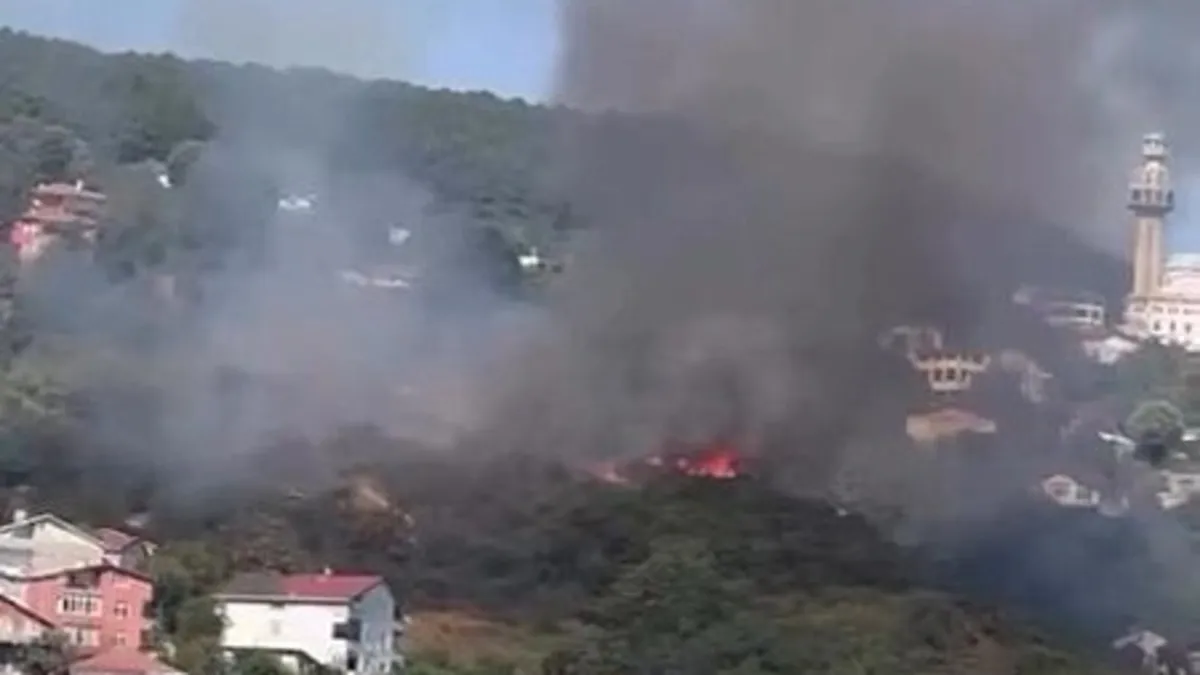 Beykoz'da korkutan orman yangını! Alevler kontrol altına alındı