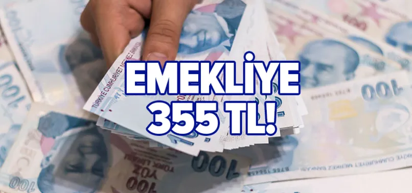 Her ay ek ödeme yolda! Emekliye 355 TL