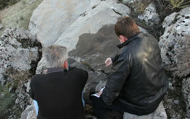 Adıyaman’da ava giden vatandaş kaya parçasında 70 milyon yıllık fosil bulundu