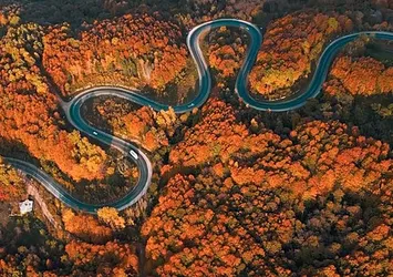 Orman yolu sonbaharda renk cümbüşüne döndü!